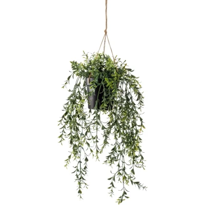 Afbeelding van Hangplant met pot 2 Driesprong Collection