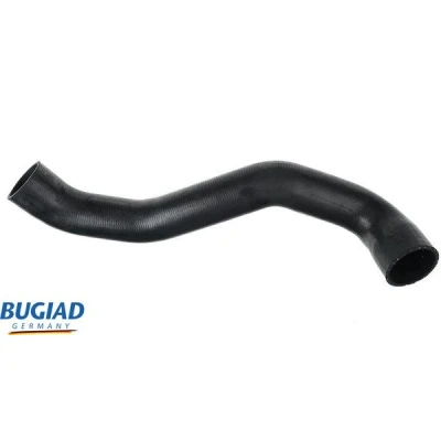 Afbeelding van BUGIAD 82450 Laadluchtslang Met bellen FORD: S Max Mk1, Galaxy Mk2 MPV, MONDEO 4 Turnier