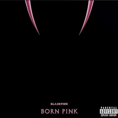 Afbeelding van Blackpink Born Pink (CD) (Edition E)
