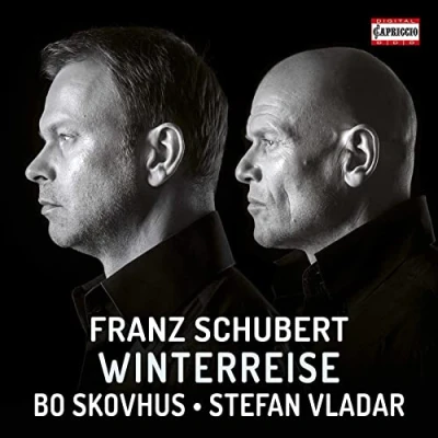Afbeelding van Bo Skovhus Stefan Vladar Winterreise (CD)