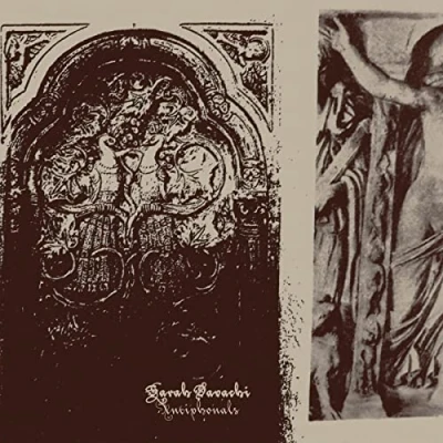 Afbeelding van Sarah Davachi Antiphonals (LP)