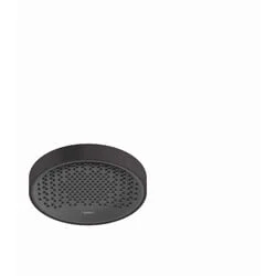 Afbeelding van Hansgrohe Rainfinity PowderRain hoofddouche 250 1jet Mat