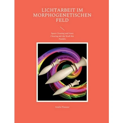 Afbeelding van Lichtarbeit im morphogenetischen Feld