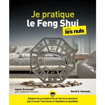 Image de Je pratique le Feng Shui pour les Nuls