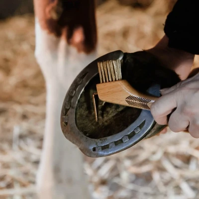 Image de Kentucky Cure Pied Brosses métalliques