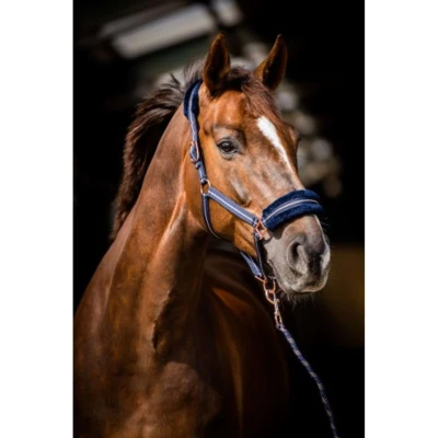 Afbeelding van HB Halster Europe Rose Navy Pony