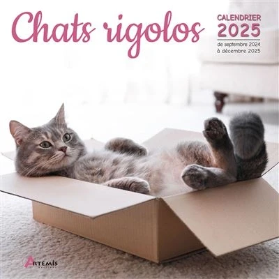 Image de Calendrier Chats rigolos 2025