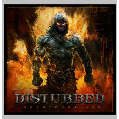 Afbeelding van Indestructible