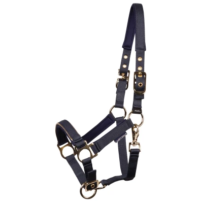 Image de Harry&#039;s Horse Licol Pepper BlueberryVendu par Agradi