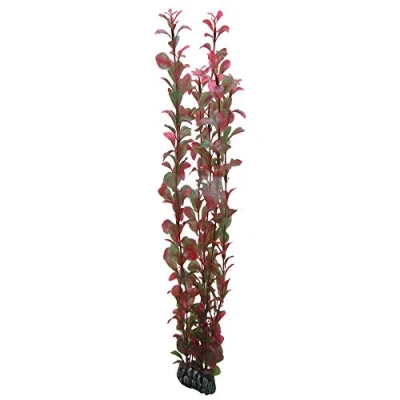 Afbeelding van Hobby Plant Ludwigia 60CM