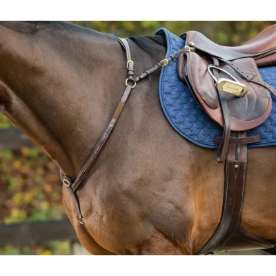 Image de Dyon Collier de Chasse Bridge Marron Cob