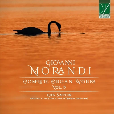 Afbeelding van Luca Sartore Giovanni Morandi: Complete Organ Works Vol. 5 (CD)