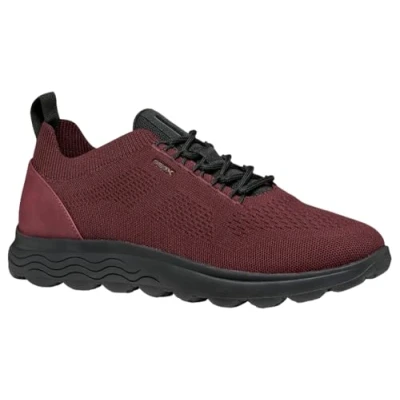 Afbeelding van Geox Spherica Sneakers laag, Heren, Maat: 39, Wine black Schoenen