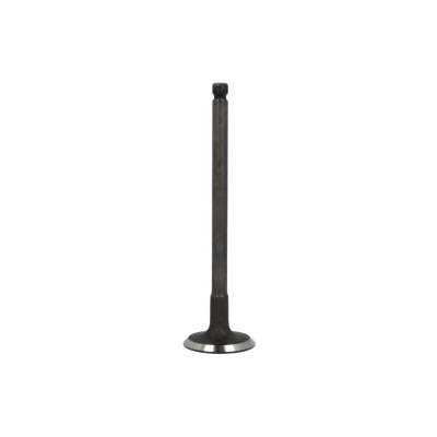 Afbeelding van FRECCIA R6250/SNT Inlaatklep 27,4 Klepsteel met nitraat verzien