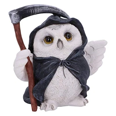 Afbeelding van Nemesis Now Beeld/figuur Reapers Flight Multicolours