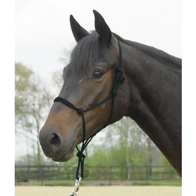 Image de Busse Rope halter Standard
