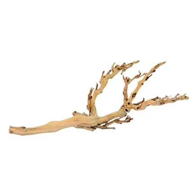 Image de Exo Terra Branche forestière, taille M (la exacte peut varier)