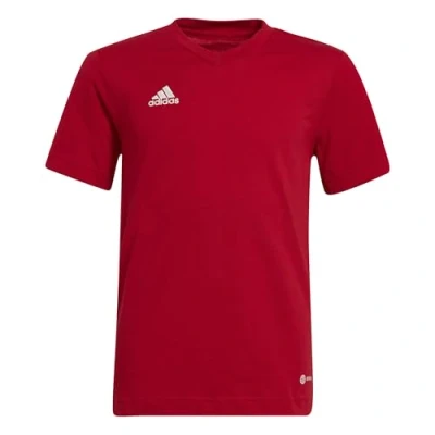 Afbeelding van adidas Performance Entrada Tshirt basic Team power red voor kinderen, Maat: 116,