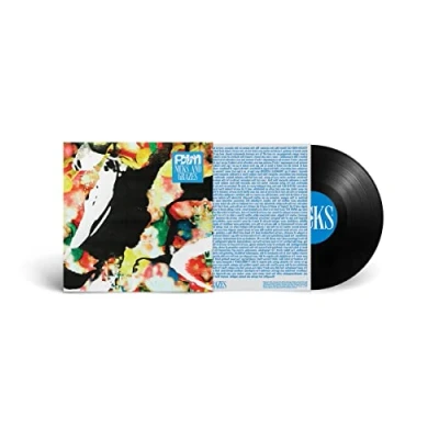 Afbeelding van Palm Nicks And Grazes (LP)