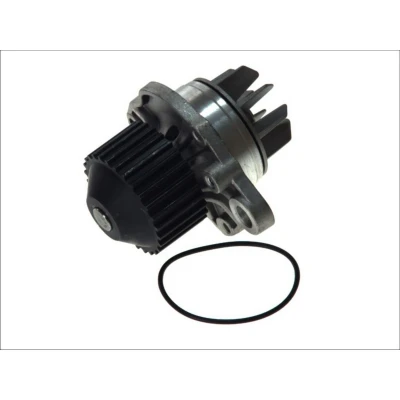 Afbeelding van MAGNETI MARELLI 352316170921 Waterpomp RENAULT: ESPACE 3, LAGUNA 2, CITROËN: XM II Hatchback