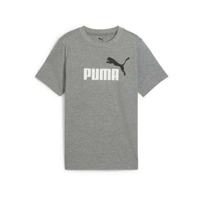 Afbeelding van Essentials Colour No.1 logo T shirt voor Heren, Grijs, Maat 11 12Y PUMA