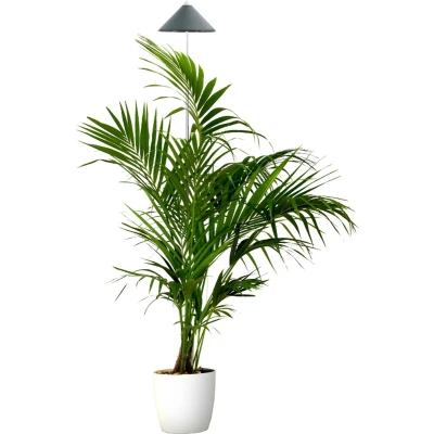 Afbeelding van Parus by Venso SUNLiTE Kweeklamp XL 25W gris, LED groeilamp met telescopische staaf, voor kamerplanten en groene planten