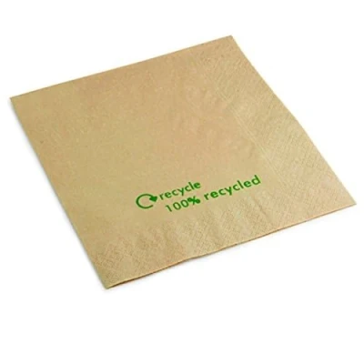 Afbeelding van Servetten van kraftpapier HVS select, gerecycled, 2 laags, wit, 2000 stuks
