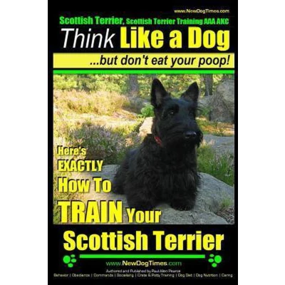 Afbeelding van Scottish Terrier, Terrier Training AAA AKC