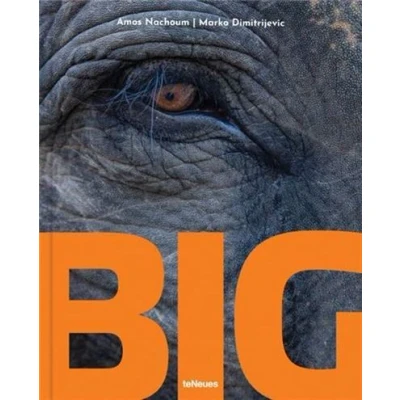 Image de Big A Photographic Album of the World&#039;s Largest Animals /anglais/allemand