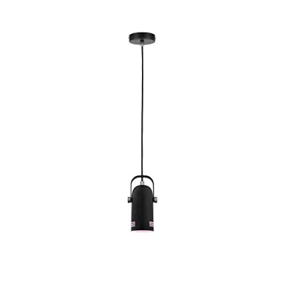 Afbeelding van PAULMANN 79766 Hanglamp E27 Zwart