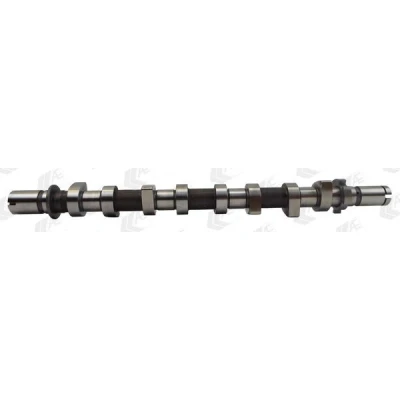 Afbeelding van AE CAM983 Nokkenas DACIA: Duster Off Road, MERCEDES BENZ: GLA, NISSAN: NV200 / Evalia Minibus