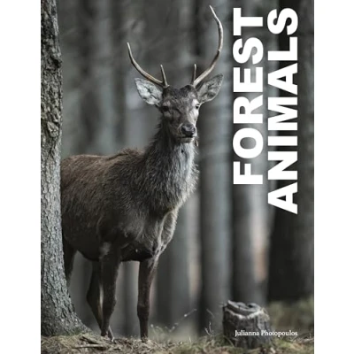 Afbeelding van Animals Forest