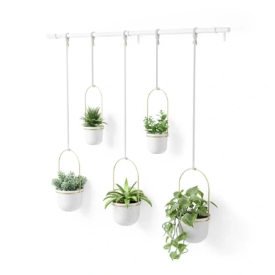 Afbeelding van Umbra Triflora hangende bloempotten, set van 5