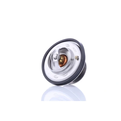 Afbeelding van Febi Bilstein Thermostaat 09675
