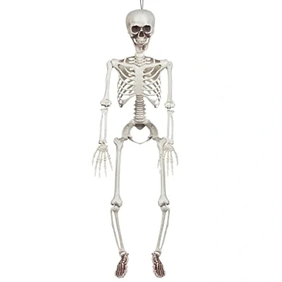 Afbeelding van Boland Decoratie Skelet (91 cm) Horror;Piraten Horror Piraten