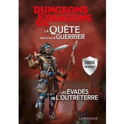 Afbeelding van DUNGEONS DRAGONS LES EVADES DE L&#039;OUTRETEMPS