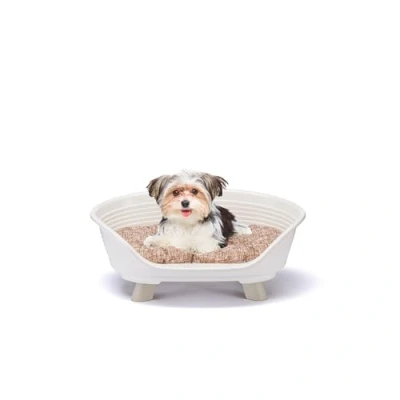 Afbeelding van Ferplast Verhoogd bed van kunststof voor honden en katten met katoenen kussen, wasbaar ademend antislip kunststof, motief THRONE 61,5 x 45 H 26 cm, wit