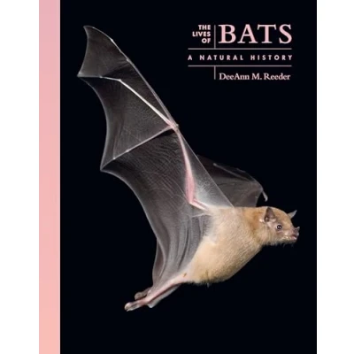 Afbeelding van The Lives of Natural World Bats