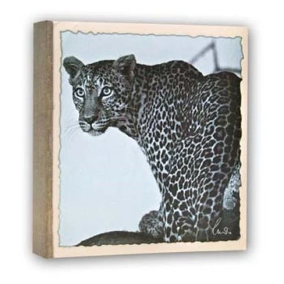 Afbeelding van Zep WL57100 Album Slip in 100 photos 13x19 cm 12 albums