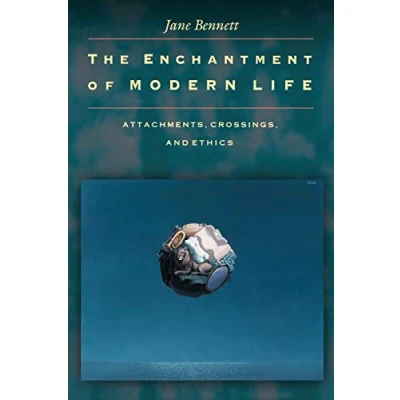 Afbeelding van The Enchantment of Modern Life
