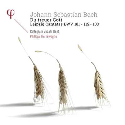 Afbeelding van Collegium Vocale Gent, Philippe Herreweghe Du Treuer Gott (Version With Sampler) (CD)