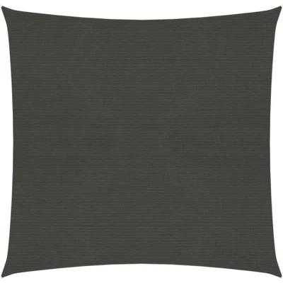 Afbeelding van vidaXL Zonnezeil 160 g/m² 7x7 m HDPE antracietkleurig