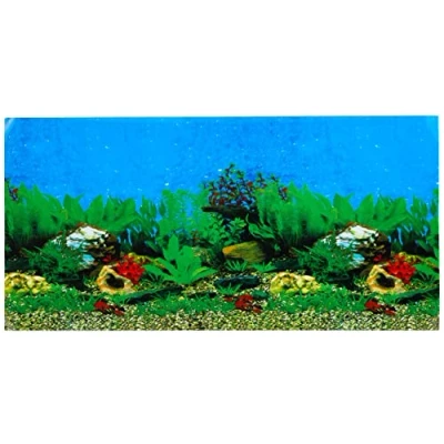 Afbeelding van Ebi Foto Achterwand Sea + Rock 80 x 40 cm