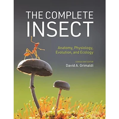 Afbeelding van The Complete Insect
