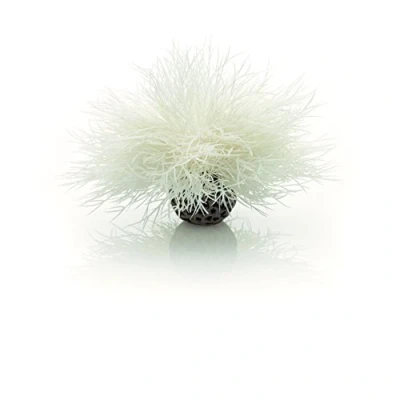 Image de biOrb Lys de mer pour aquarium, en blanc