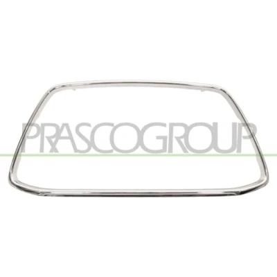 Afbeelding van BLIC 6502 07 3751994P Frame, radiateurgrille