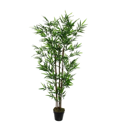 Afbeelding van Mica Decorations bamboe in pot maat cm: 150 x 85