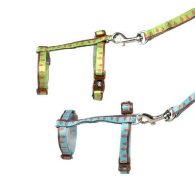 Afbeelding van Duvo+ Konijn Wandelset Carrot Groen/Blauw