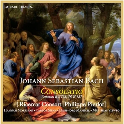 Afbeelding van Ricercar Consort/Philippe Pierlot Consolatio (CD)