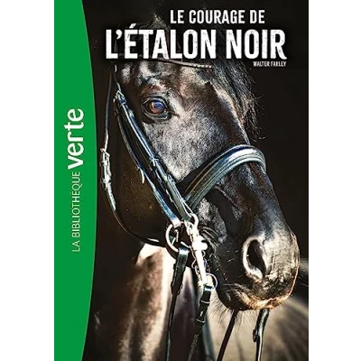 Afbeelding van l&#039;etalon noir,13:le courage de noir